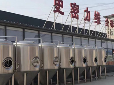 济南精酿啤酒设备厂—市场规模与跨界新需求